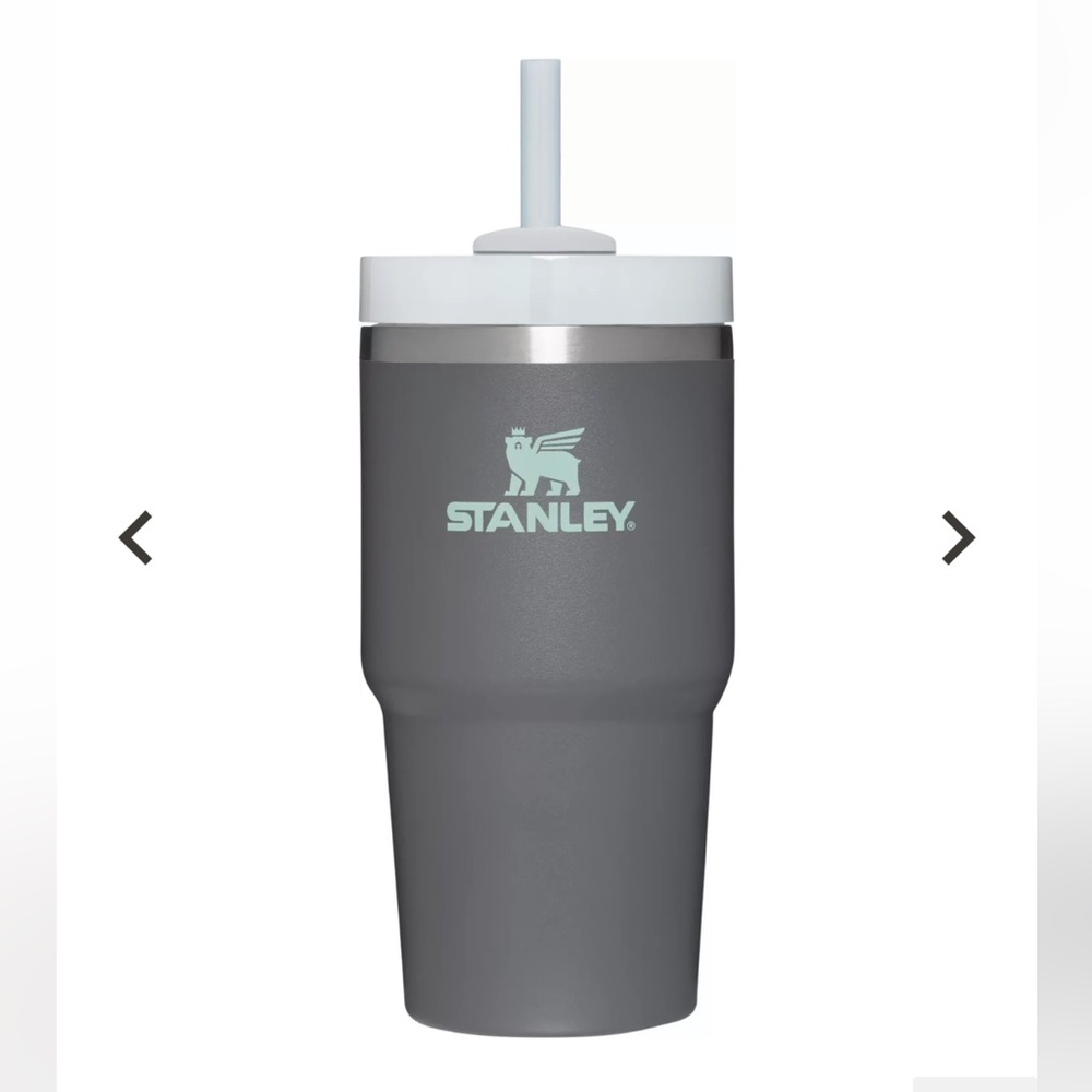 Stanley 20 oz. Quencher H2.0 FlowState Tumbler